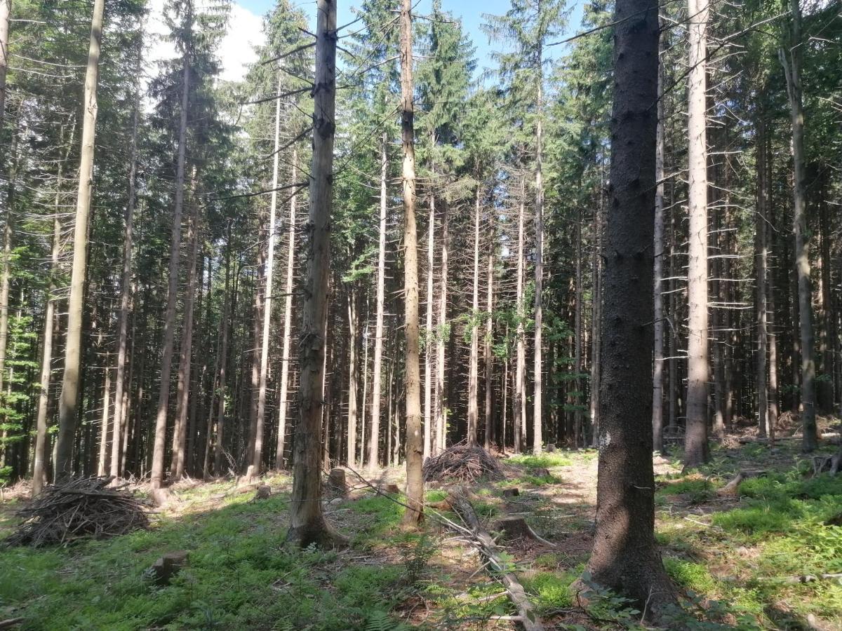 Zakatek Dorimaks Apartment Zawoja Bagian luar foto